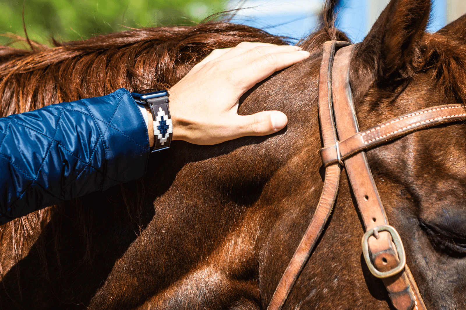 Prince William Apple Watch Band - Image 8